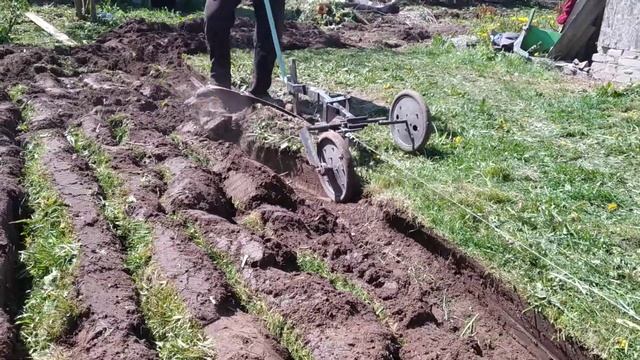 Могилев . Пашем целину лебедкой с новым плугом. смотреть онлайн