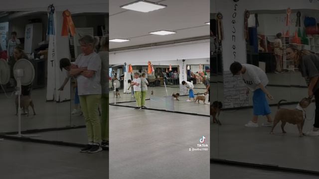 2022-06-26-033847975.mp4 смотреть онлайн