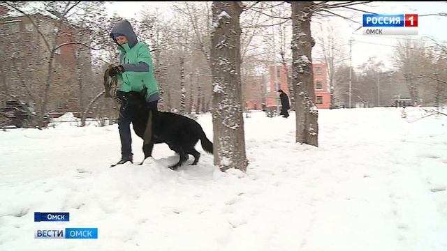 Закон о защите животных смотреть онлайн