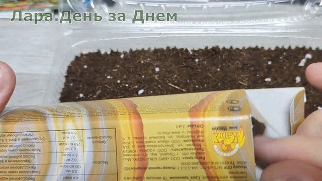 ГВОЗДИКА МНОГОЛЕТНЯЯ.МОЙ СПОСОБ ПОСЕВА.