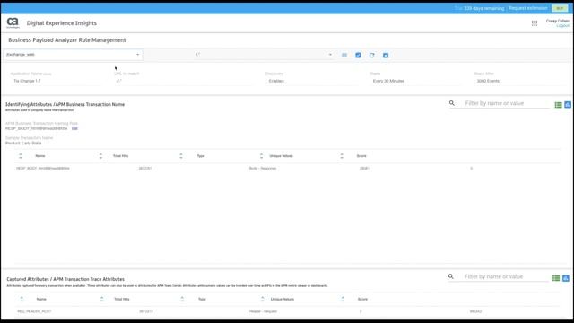 Business Payload Analyzer: How to Enable Custom Transaction Naming смотреть онлайн