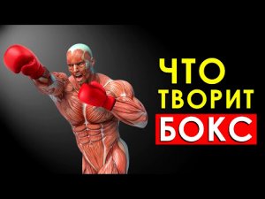 Что произойдет с телом, Если Заниматься Боксом