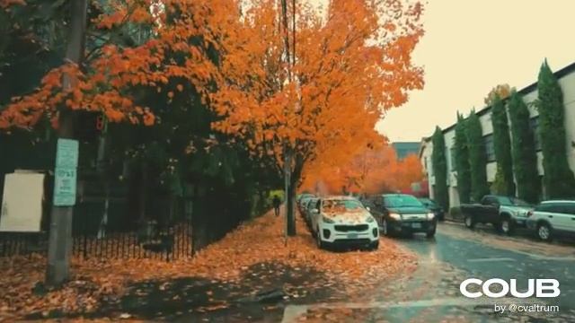 приколы - Осенняя прогулка смотреть онлайн