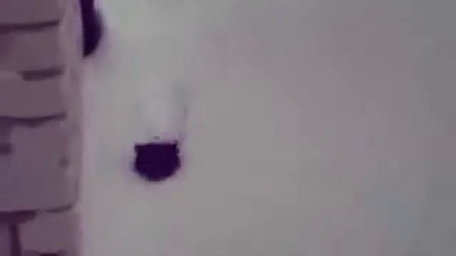 Неудачные полеты котов смотреть онлайн