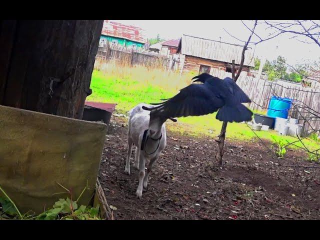 За Жизнь. смотреть онлайн