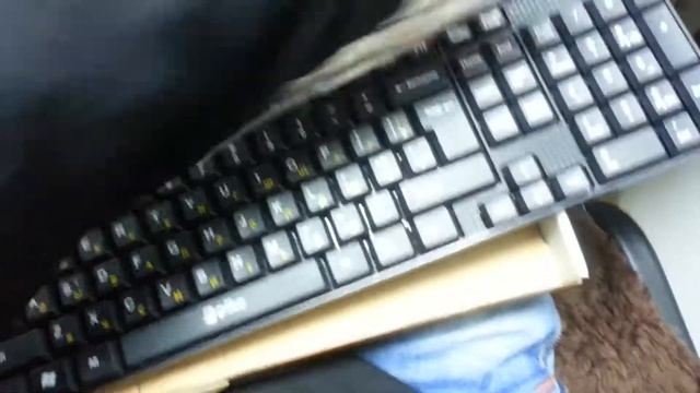 клавиатура PIKO KB 005 смотреть онлайн