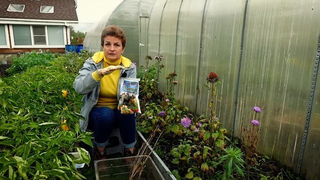 33 Богатыря сработали на отлично!