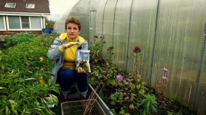 33 Богатыря сработали на отлично!