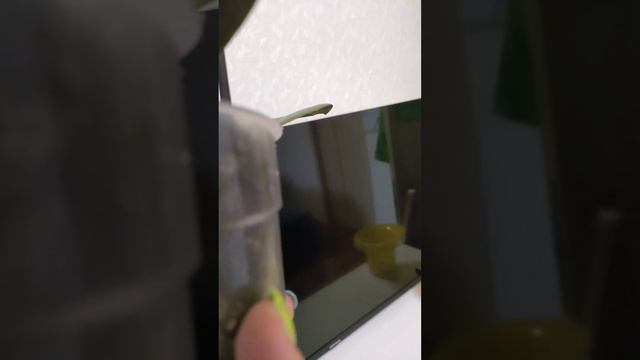 Одорион, приобретение от 15 января 2023 смотреть онлайн