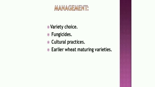 Rust Fungi | Rust Disease in Plants | Urdu / Hindi | Stem Rust смотреть онлайн