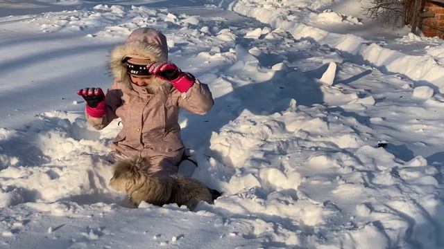 Как мы встречали (убирали) первый снег в зоопарке "Садгород" смотреть онлайн