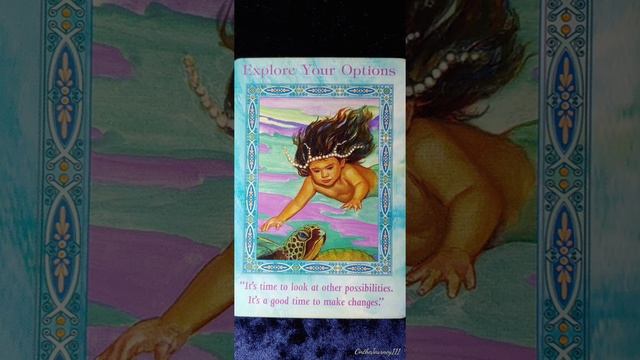Explore your Options ? Magical Mermaids and Dolphins Oracle card meaning смотреть онлайн