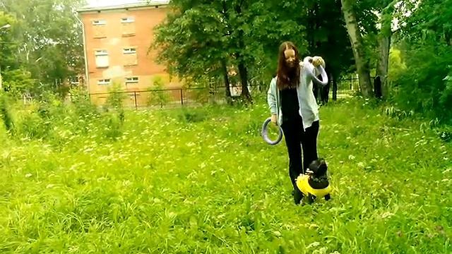 Пуллер стаффи смотреть онлайн