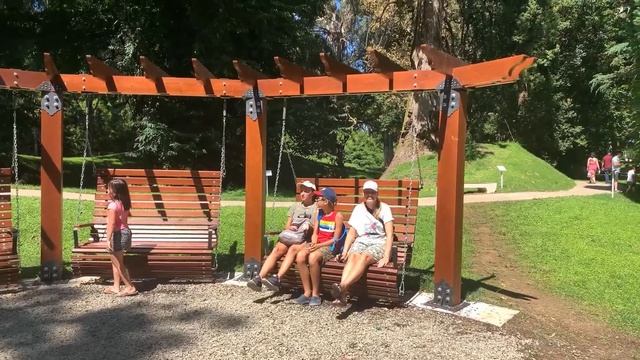 Дендропарк Шекветили / Shekvetili Грузия. Стоит ли ехать в дендрологический парк в поселке Шекветил смотреть онлайн