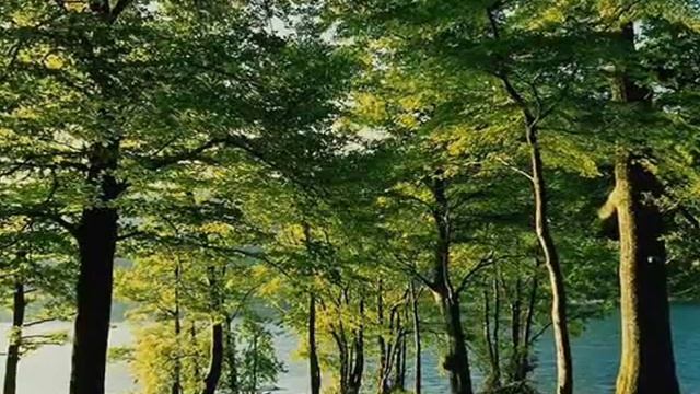 Шнитке Пастораль смотреть онлайн