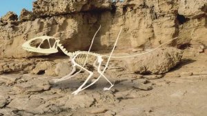 Dinosaur bone puzzle game3 | Find the dinosaur bones | What did the dinosaurs eat?|공룡의 뼈를 찾아라|딩동TV