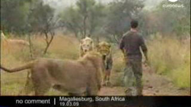 Они его просто любят смотреть онлайн