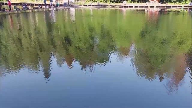 Утренний обзор с нижнего водоёма. Клёвое место, Лосиный остров. смотреть онлайн