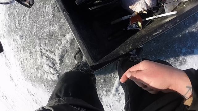 Polar Vortex Froze The LAKE OF GIANTS!!! (Second Biggest Ice Fishing) смотреть онлайн