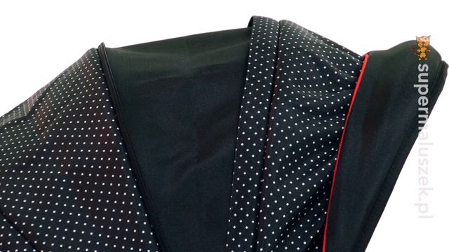 Детская коляска 2 в 1 Lonex Carrozza смотреть онлайн