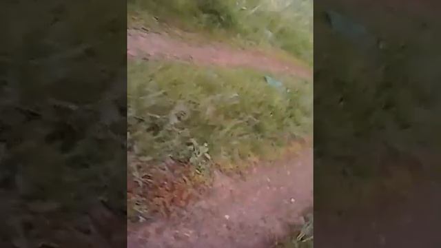 Стрим cold celendh,и ходьба без обуви смотреть онлайн