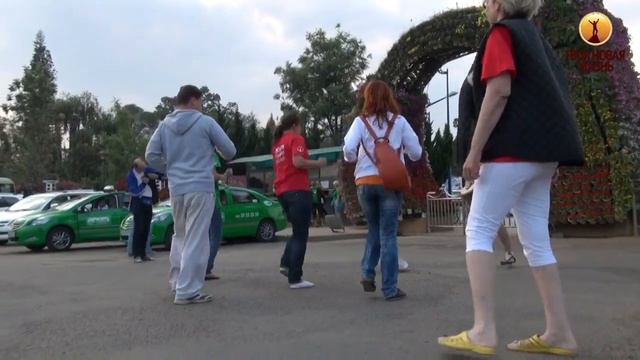 [Твоя Новая Жизнь] Итоги 2 недели. От стажерства к первым зарплатам смотреть онлайн