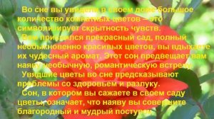 К чему снятся ЦВЕТЫ? Толкование снов.