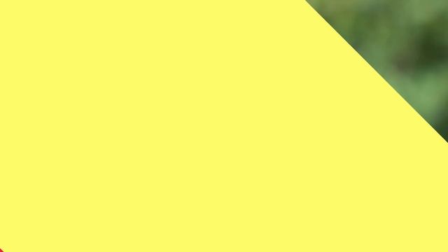 Shozy Earphones | Shozy form 1.4 | Shozy form 1.1 | Shozy neo | Shozy Zero смотреть онлайн