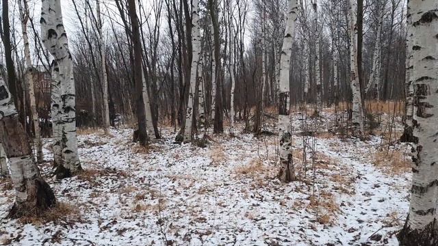 Что с погодой?В ноябре без снега.🤔 смотреть онлайн