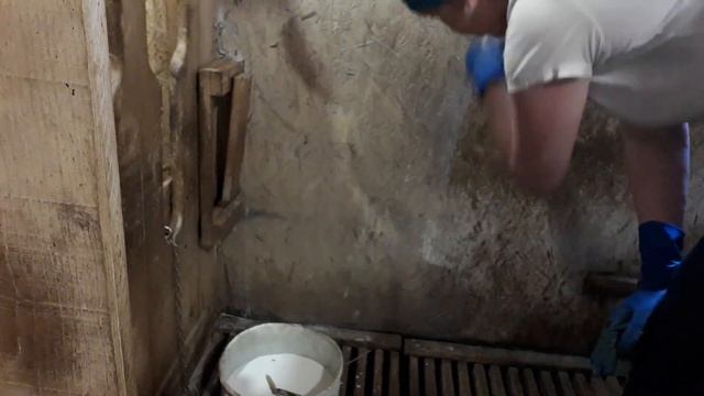 Новая кормушка у коз. В козовнике стало красиво. смотреть онлайн