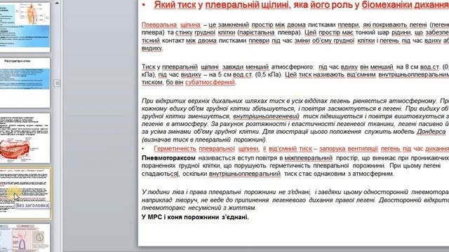 Анатомія та фізіологія людини - 30. Фізіологія дихання смотреть онлайн