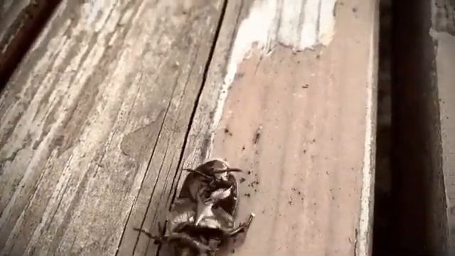 Никогда не сдавайся | Автор стихотворения: Артем Аларин смотреть онлайн