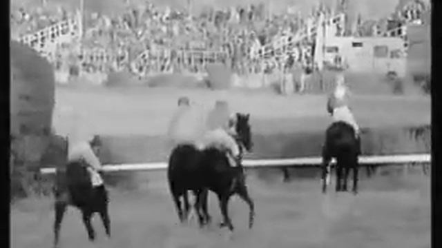 velka pardubicka 1992.avi смотреть онлайн