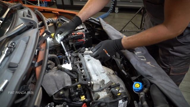 How To Change Spark Plug On FIAT PANDA 2 (169) [TUTORIAL AUTODOC]