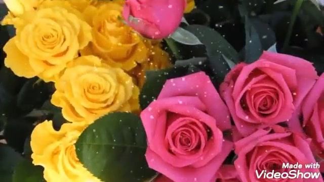 Алена, с днем рождения! Кокшетау смотреть онлайн