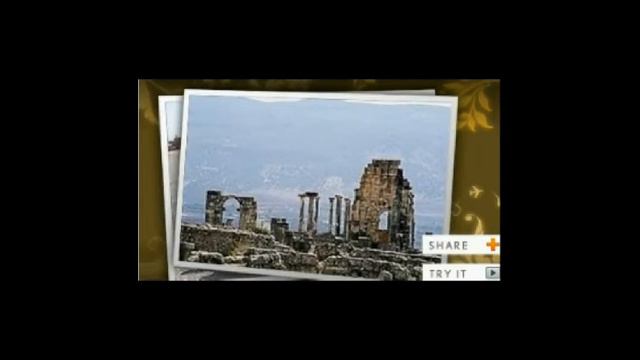 זאב רווח טיפת מזל אנא בחיבק смотреть онлайн