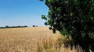 ЭДИК СЕМЬЯ АДАМЯН ДО СИХ ПОР НАХОДИТСЯ В ГРУЗИИ