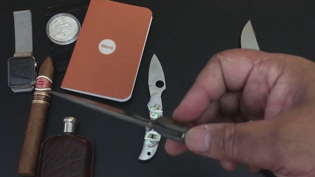 Spyderco Lil' Lum, Chris Reeve Star-Tac, Spyderco Double Bevel,CRK Sebenza-EDC Pocket Dump! смотреть онлайн