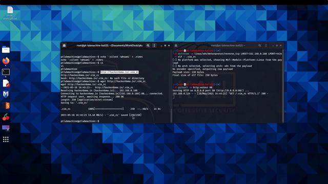 Reverse shell via Vim editor смотреть онлайн