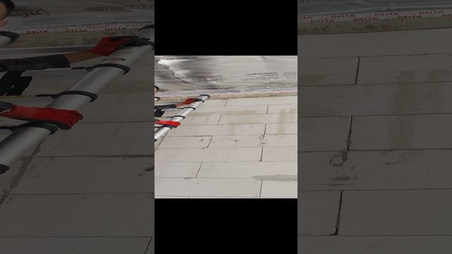 1000080724.mp4 смотреть онлайн