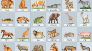 ?АНГЛИЙСКИЙ ЯЗЫК?ЖИВОТНЫЕ?? УЧИМ СЛОВА?2 КЛАСС