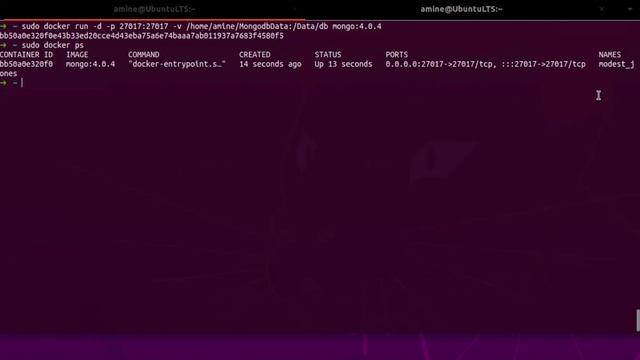 How to run Mongodb database as a docker container in linux смотреть онлайн