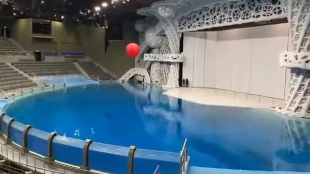 Москвариум Радиоуправляемые Надувные Скульптуры ШАР Аренда Робот Мода #шоу #евент www.robotmoda.ru смотреть онлайн