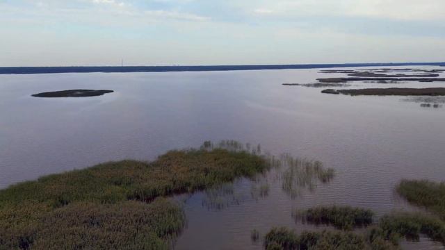Сестрорецк в августе смотреть онлайн