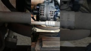 Замена ремня генератора на шкода октавия тур 2008 года