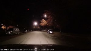 2023-11-08 bear on our street • медведь на нашей улице