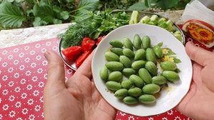 Чудо - огурцы. Мелотрия шершавая - обязательно посею