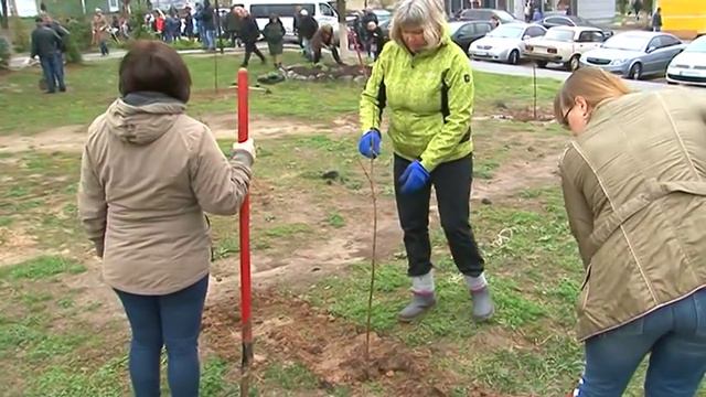 Юлия Светличная приняла участие в высадке 450 деревьев в Солоницевке смотреть онлайн