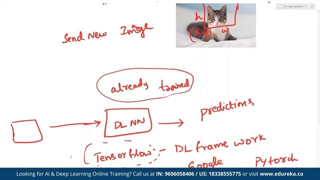 Real-Time Object Detection | Object Detection with TensorFlow | Edureka | ML Rewind - 5 смотреть онлайн