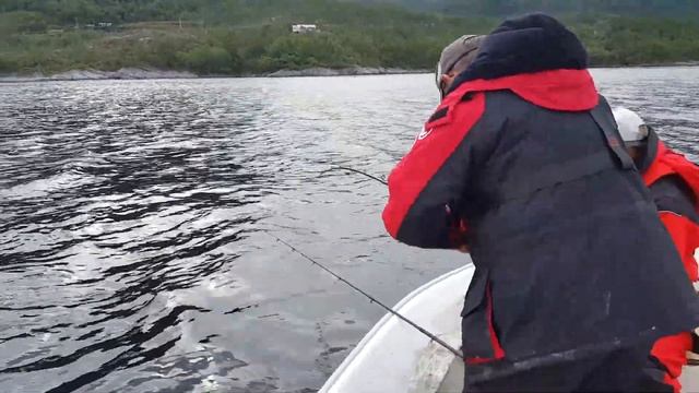 Встреча с китами или Норвежские зарисовки.перезалито смотреть онлайн